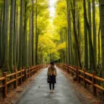 best time to visit japan